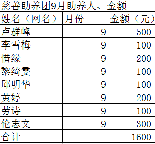 慈善团.png